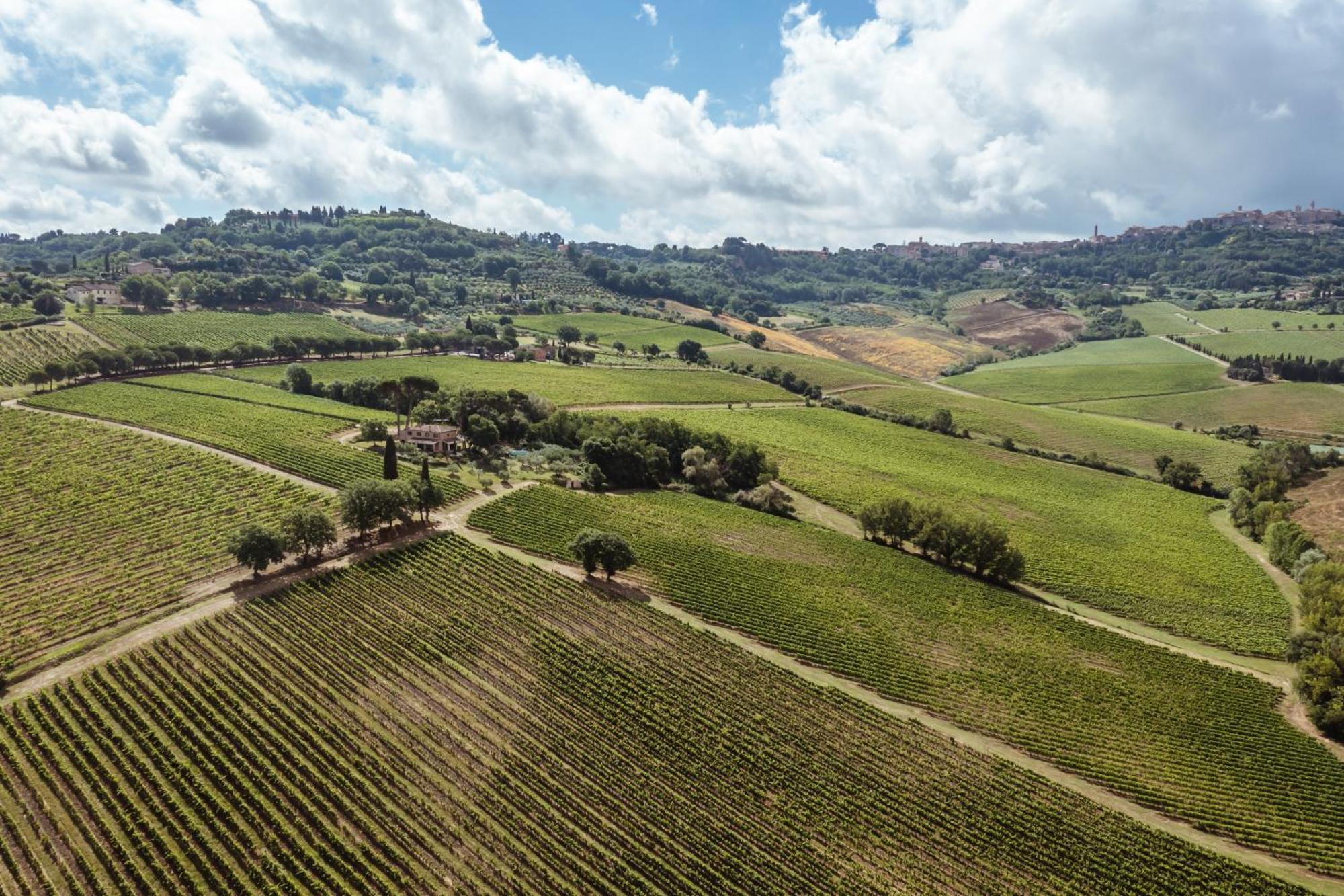 Villa Talosa Montepulciano Stazione Eksteriør bilde